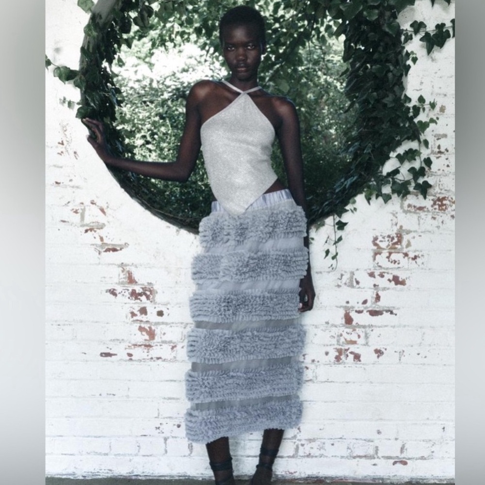 NEW Zara Ruffled Organza Skirt Size Large